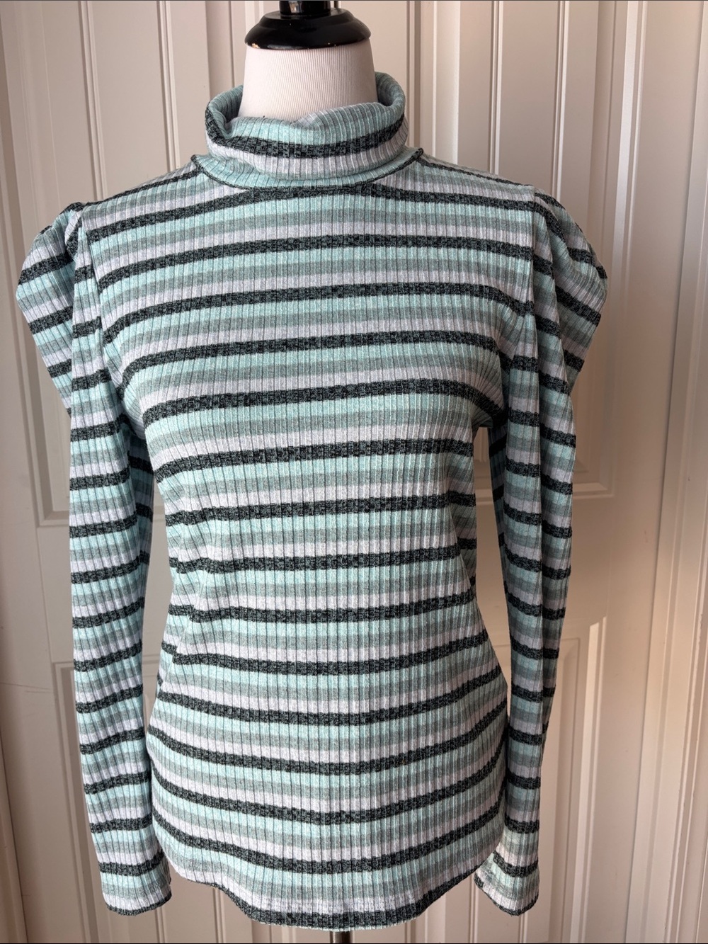 MAEVE Anthropologie Ribbed Striped Turtleneck Sweater - Mint & Gray